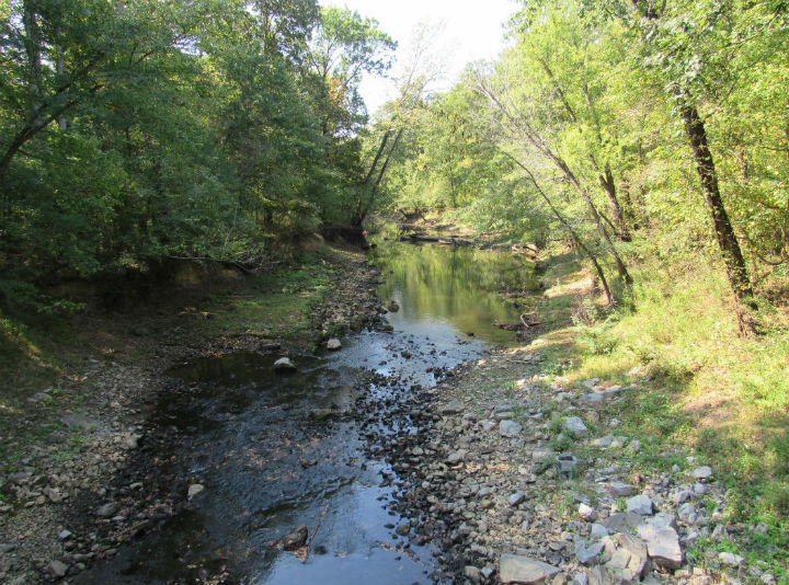 Cache River.